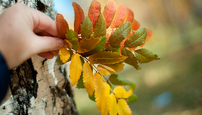 Ежегодно 19 сентября в народе вспоминают о Михайловом чуде. Фото: 1MI