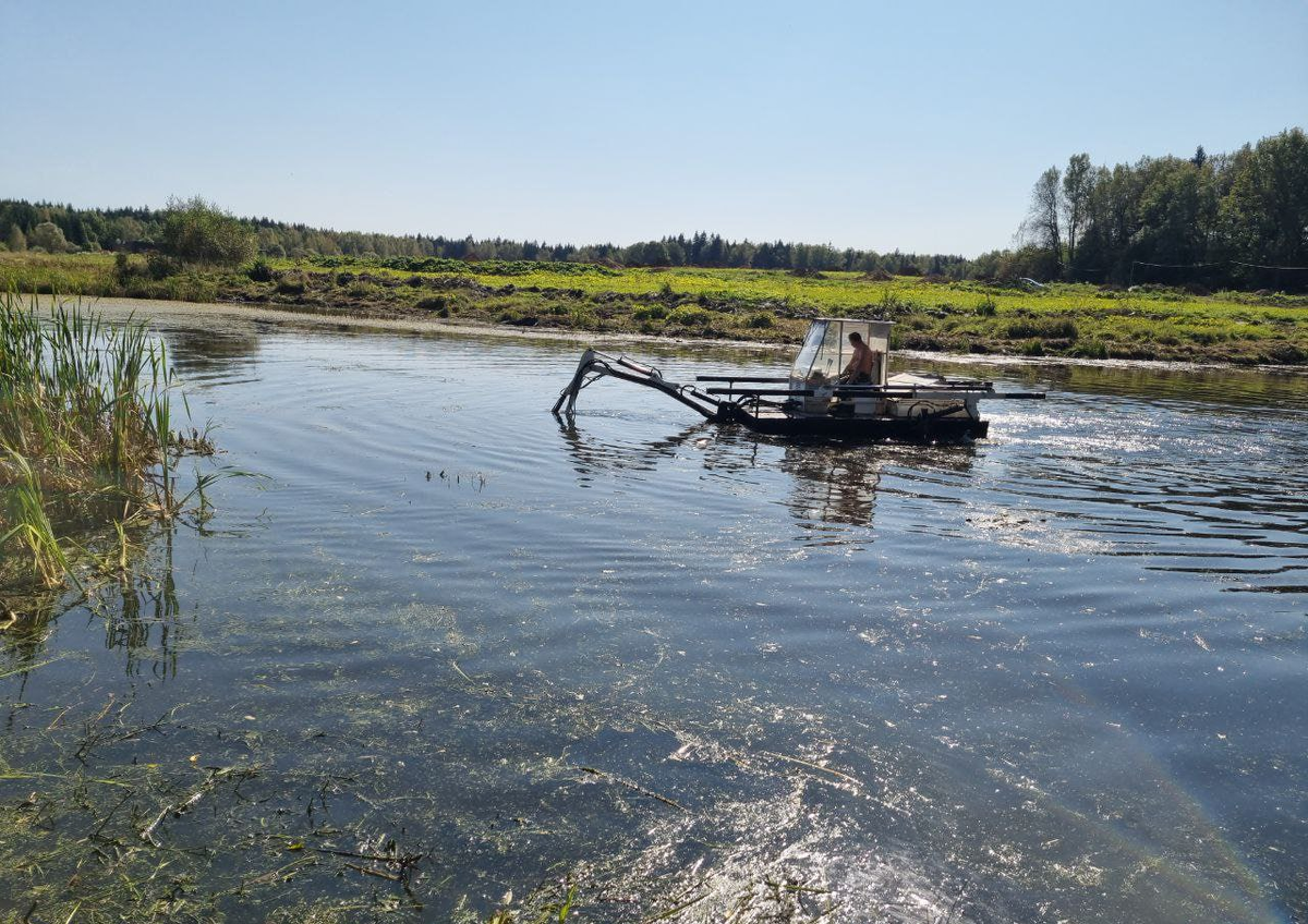    Фото: Администрация Рузского муниципального округа, источник: ruzaregion.ru
