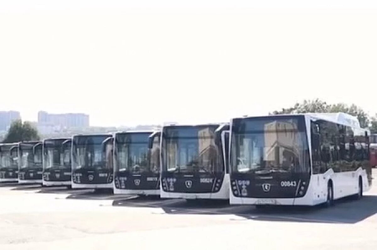    Накануне Дня города в Ростове начнут курсировать 10 новых автобусов