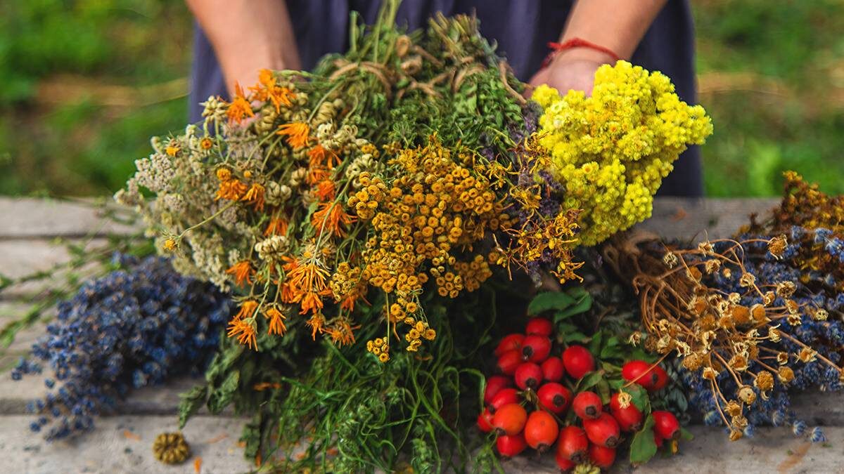    Фото: Shutterstock