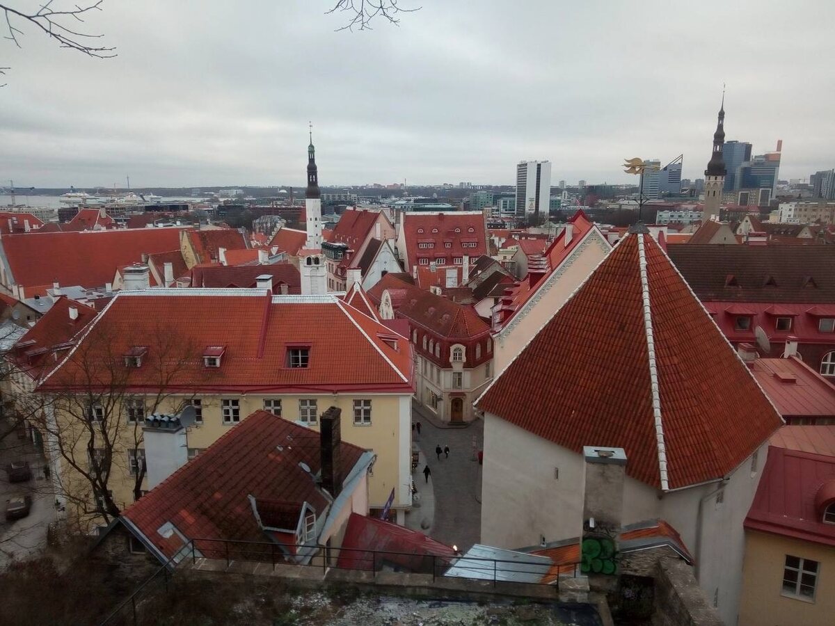    Таллин. Фото: Мойка78