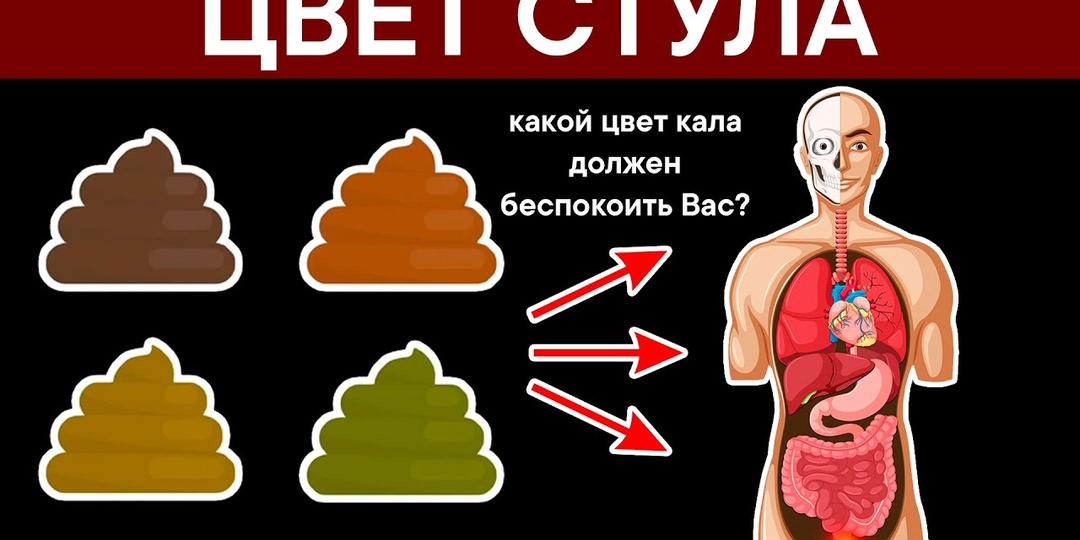 Ваш стул расскажет о здоровье кишечника больше, чем анализы