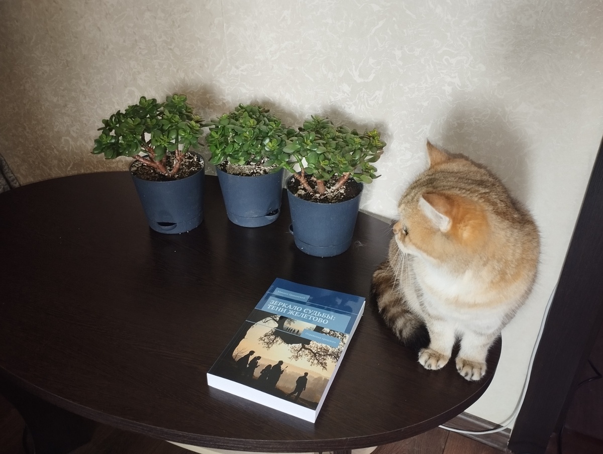 Мои Коты тоже оценили роман :)