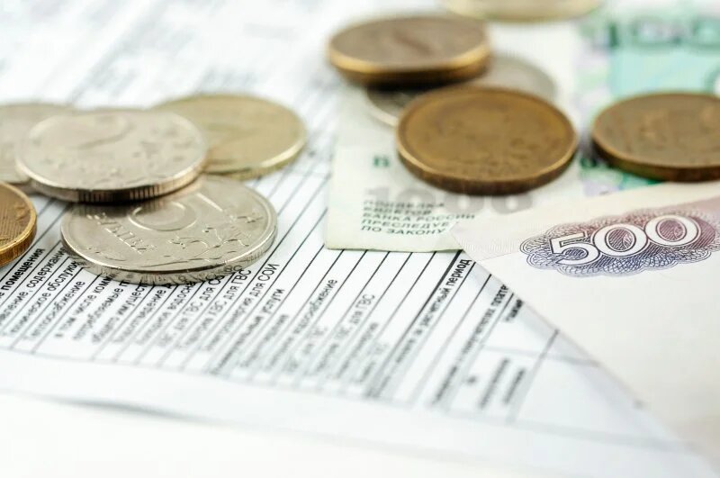 Shutterstock/FOTODOM