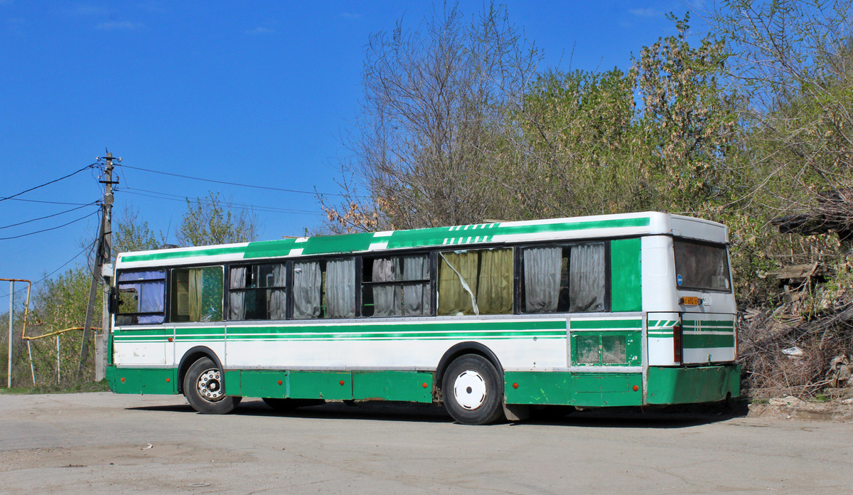 Автор: Иван Карташов. Фото 2025 года.