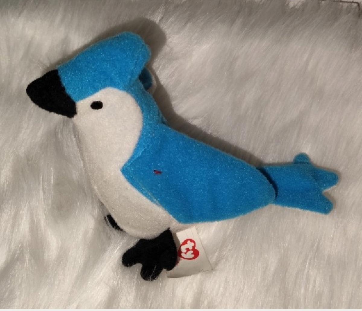 Голубая сойка