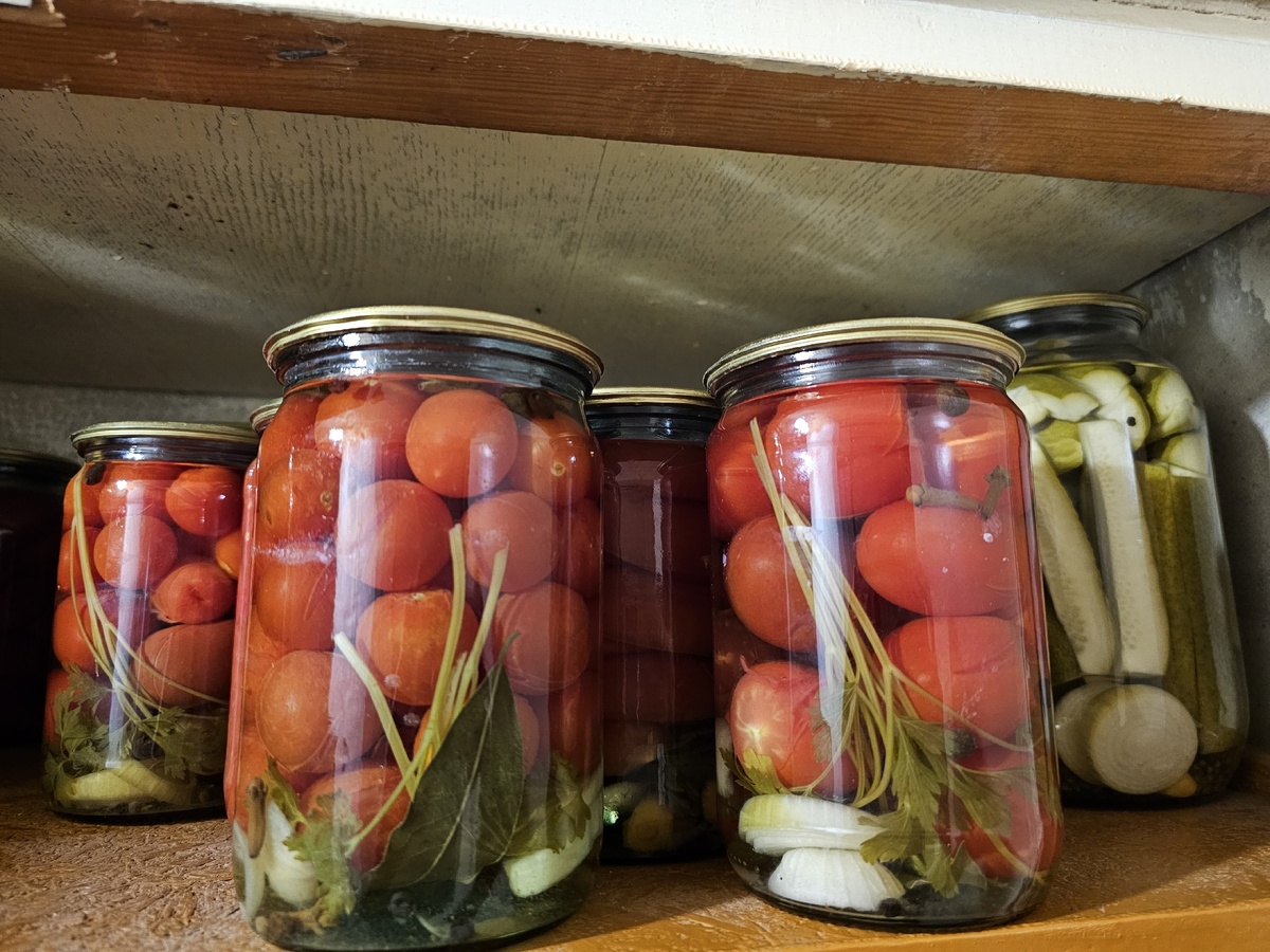    В Италии помидоры маринуют только так: получаются очень вкусными и сочными - и 50 банок не хватает на зиму