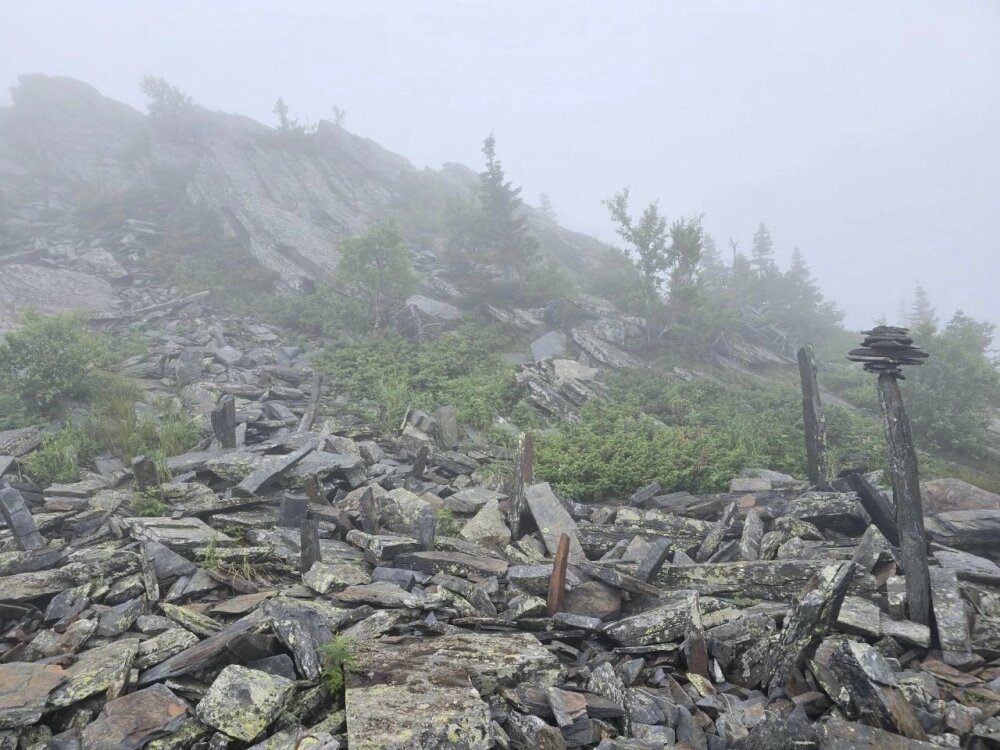    Любовь к природе помогала преодолевать сложности. Фото: Из личного архива