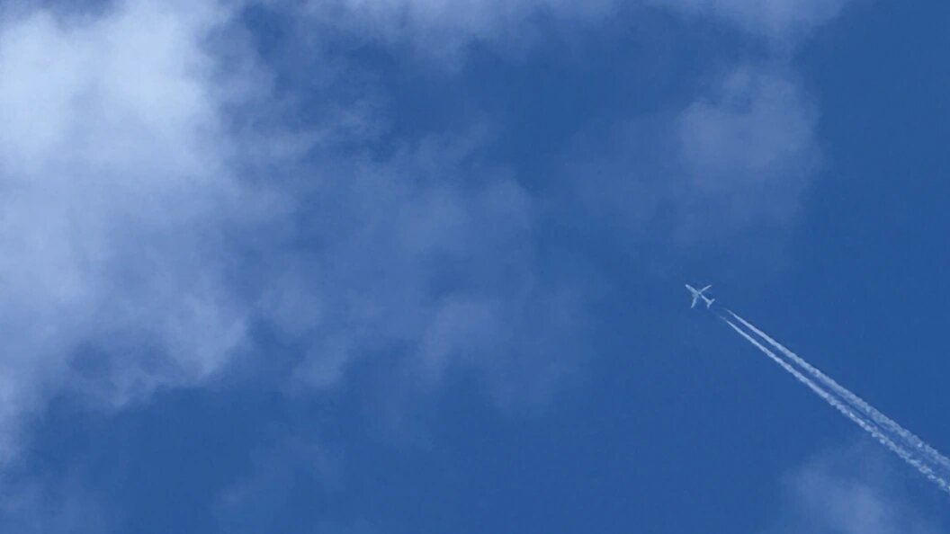    Alexander Legky/Globallookpress