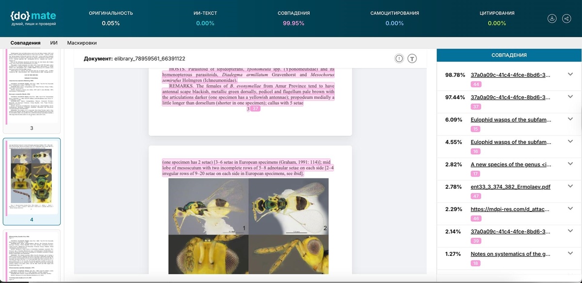 Минипейджесы или миниатюры страниц в отчёте являются маленькими копиями настоящих страниц, что улучшает наглядность работы с отчетом