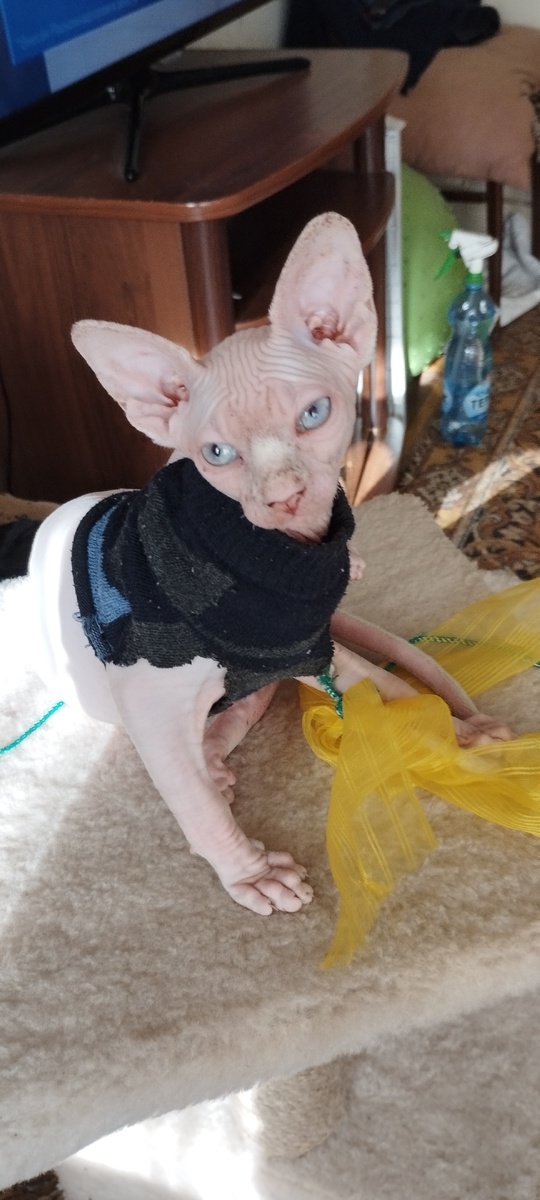 Фото автора