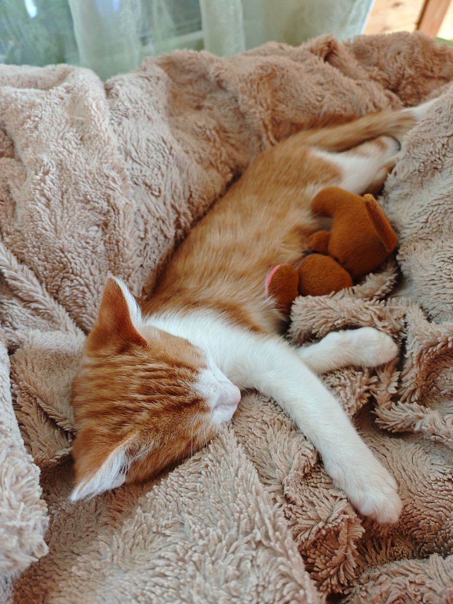 Счастливчик 