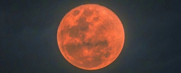 https://ru.pinterest.com/pin/a-witness-to-a-lunar-eclipse-that-occurred-in-may-1110-wrote-in-the-peterborough-chronicle-of-the-exceptional-darkness-of-th--266838346659807760/
