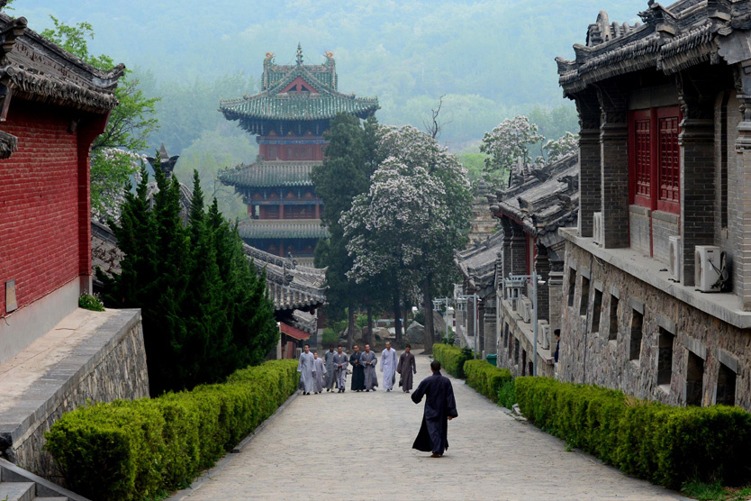 Фото: Zhu Xiang / Zuma / Global Look Press
