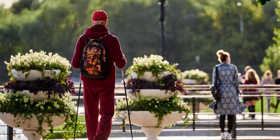 Живописные и полезные прогулочные маршруты в Парках Москвы