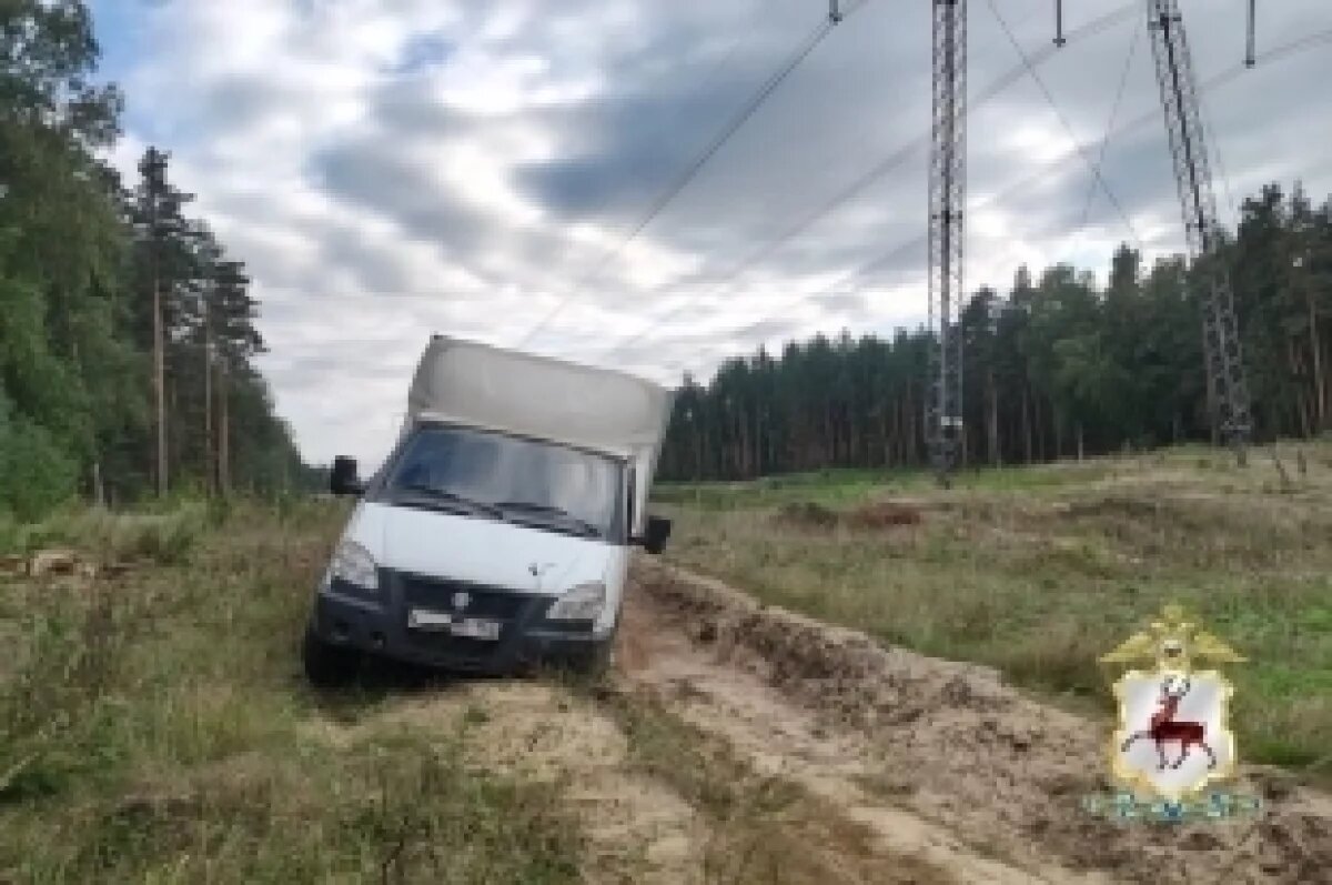    Житель Нижнего Новгорода угнал ГАЗель и уехал на ней к родственнице