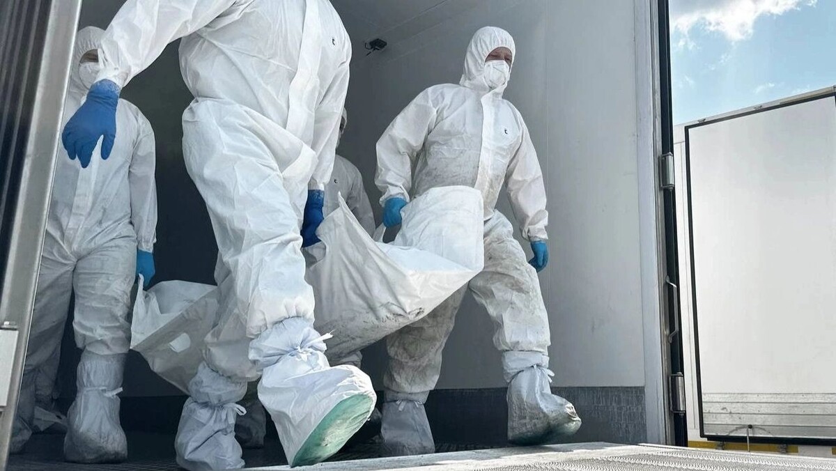    Фото: t.me/mod_russia