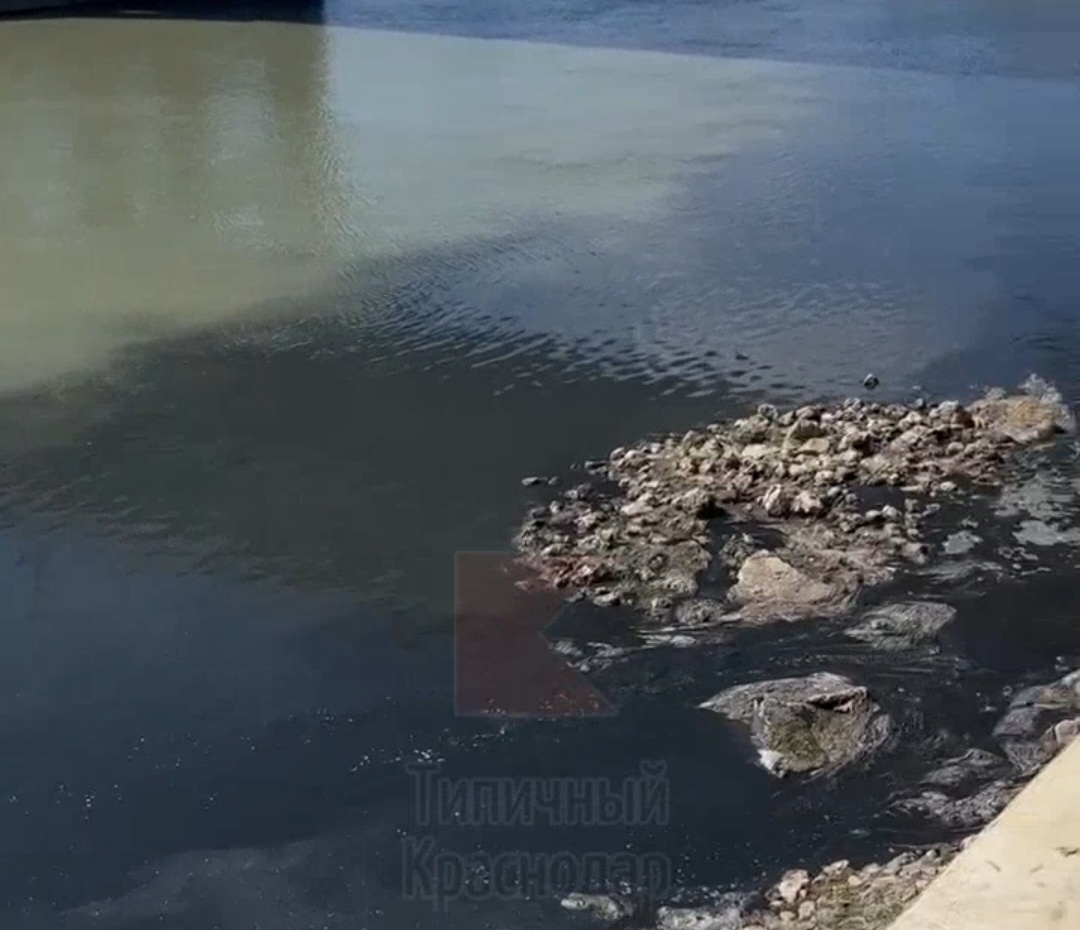 Скриншот из видео. Загрязнённое пятно распространяется на воде.