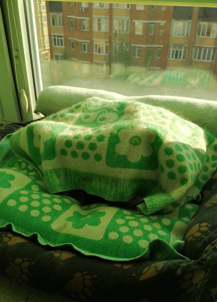 Замаскировалась)) 