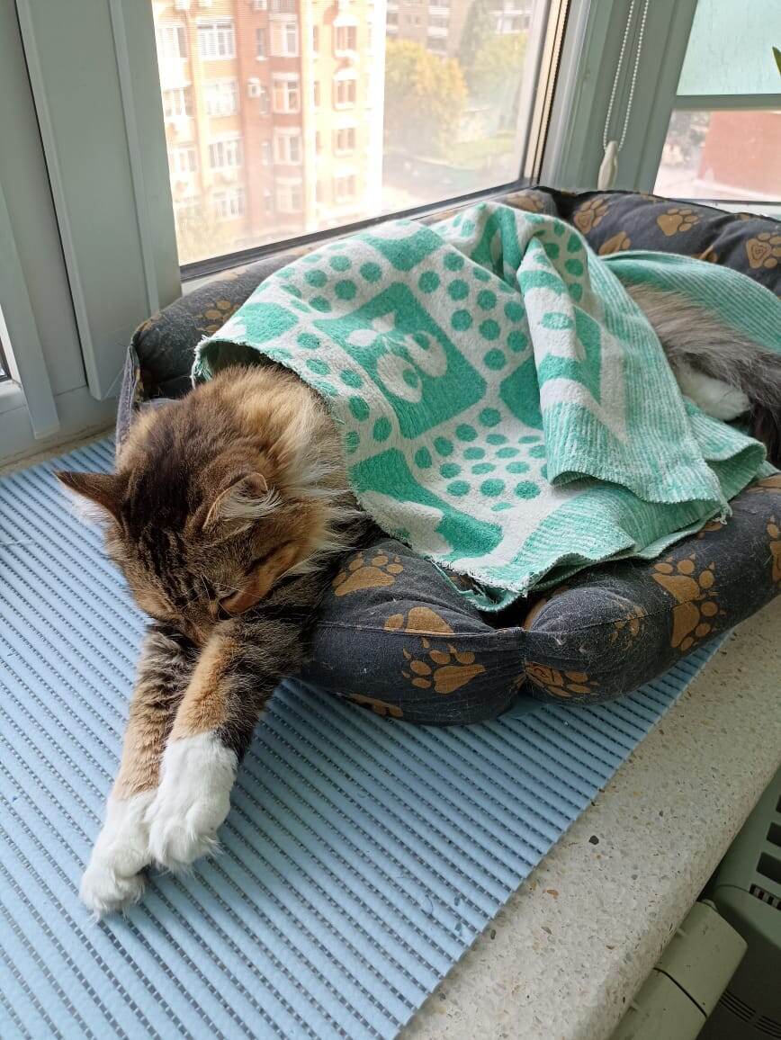 Отлично у неё это получается! 