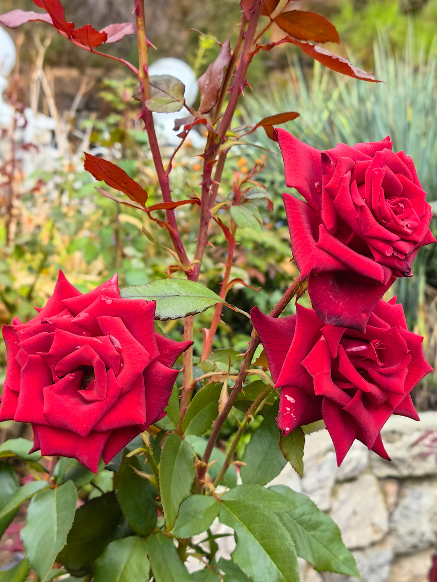 Сегодня. Фото автора канала