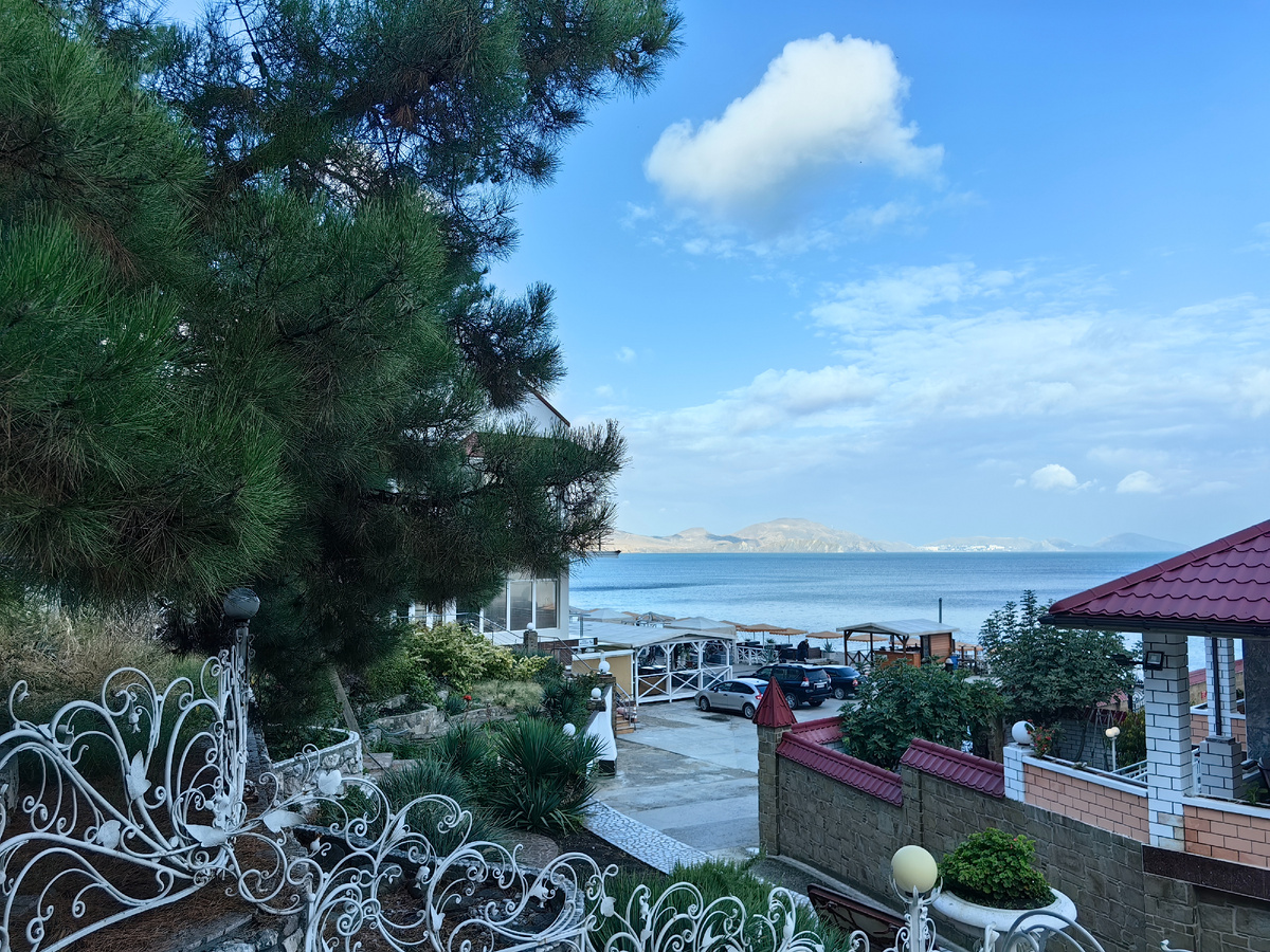 Сегодня. Фото автора канала