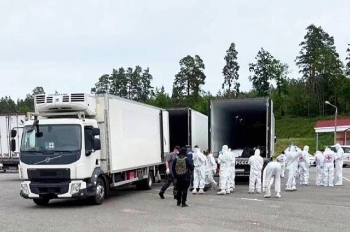    Россия передала Украине тысячу тел погибших боевиков ВСУ