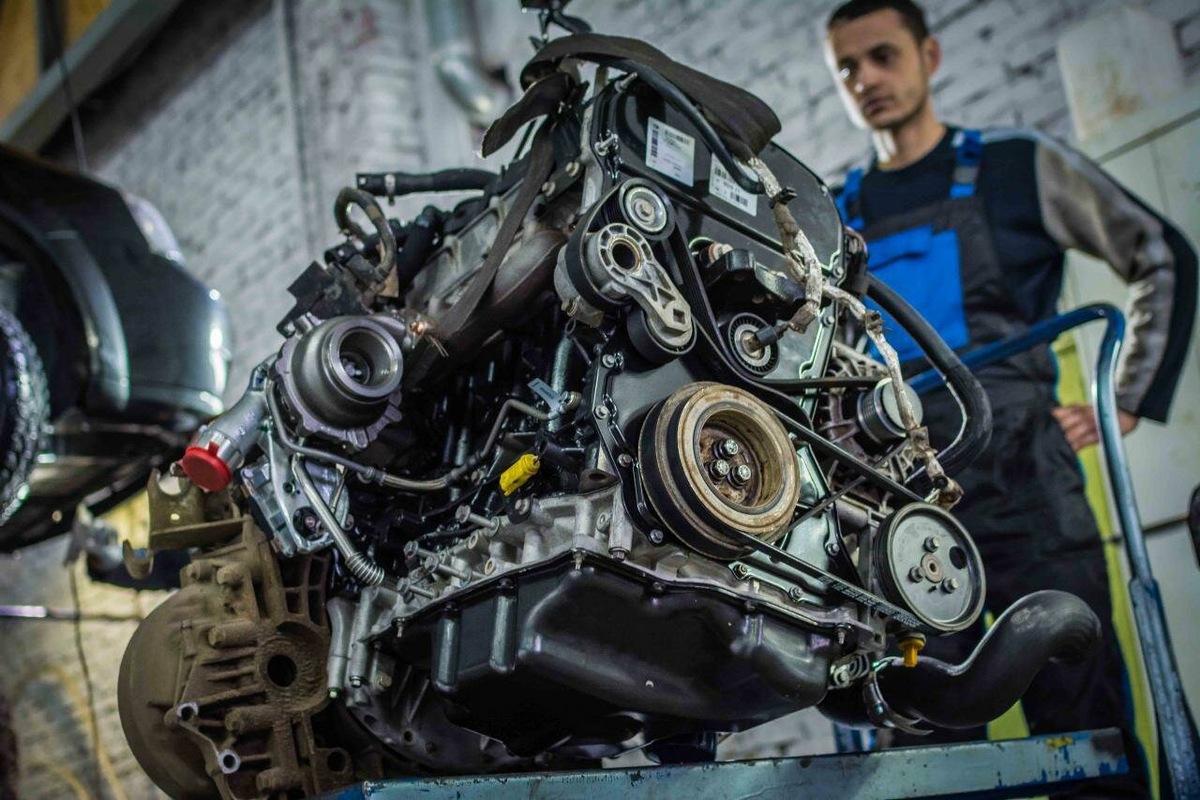 Фото заимствовано - https://dzen.ru/a/Xw11m6PORDZL3TfU