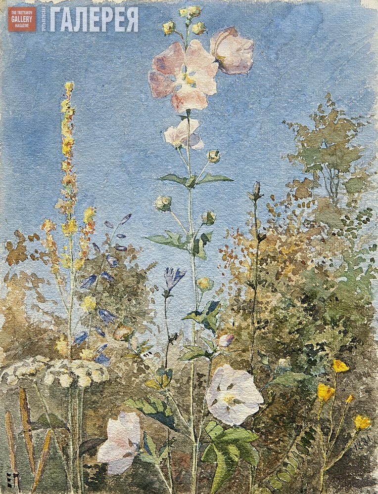 Е.Д. Поленова "Цветы (Дикие мальвы)". 1881