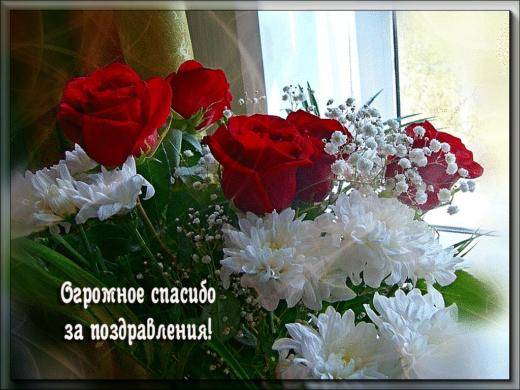   Анимационная открытка источник яндекс картинки 