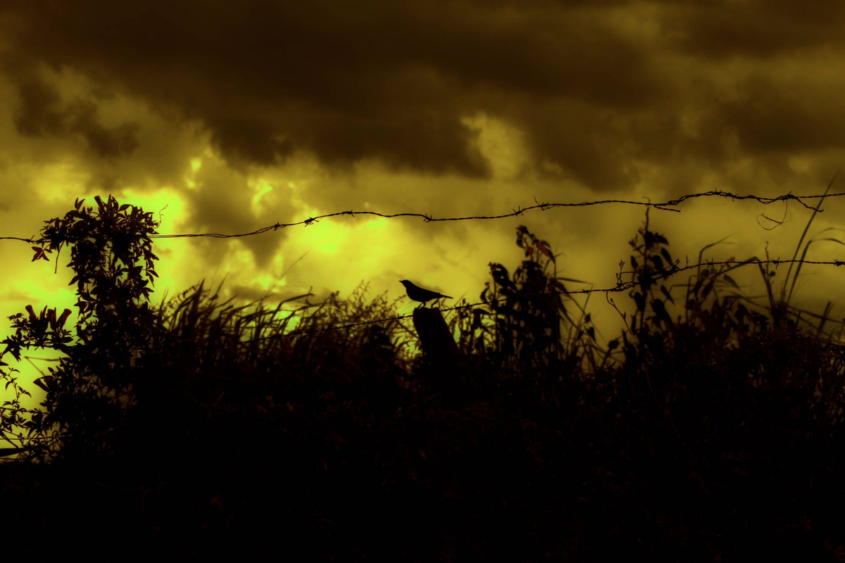 Фото: freepik.com