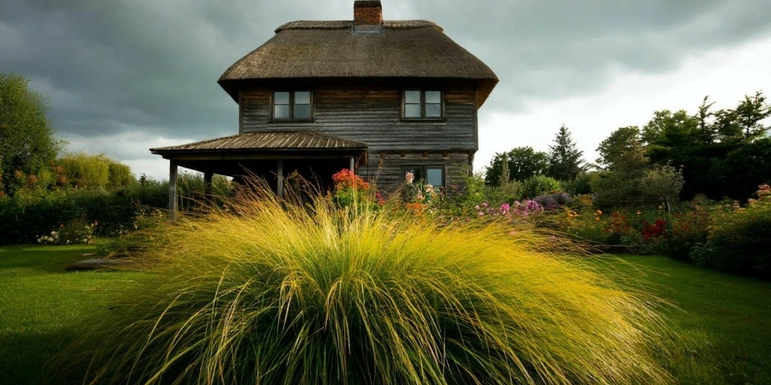 Папа не хотел уезжать из деревни, пока буря не изменила всё