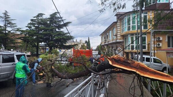    © Telegram-канал главы администрации Ялты Янины Павленко