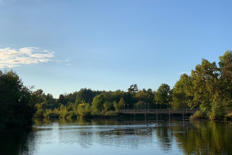    Фото: Иннокентий Радыгин, источник: potokmedia.ru