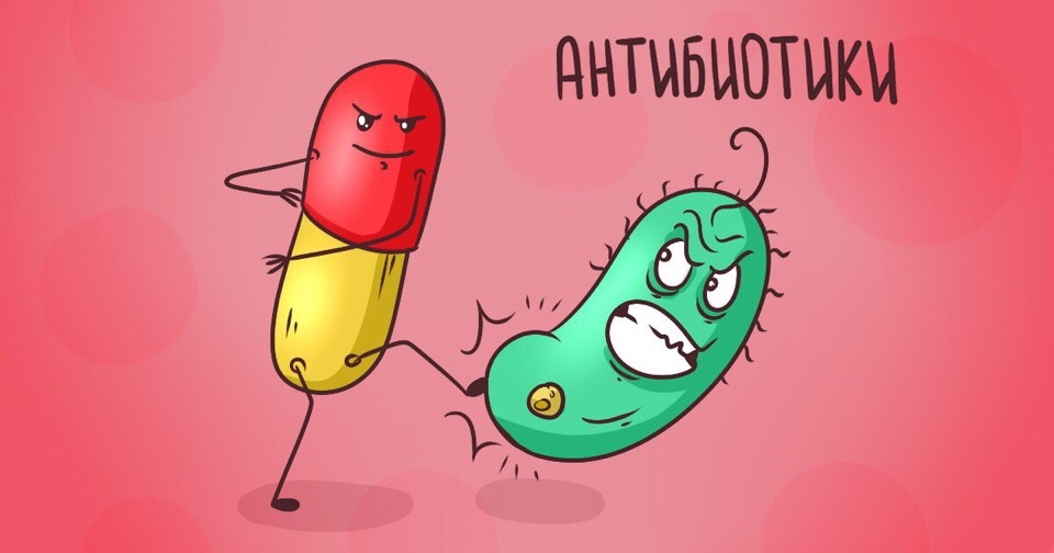 Антибиотики уничтожают полезные бактерии
