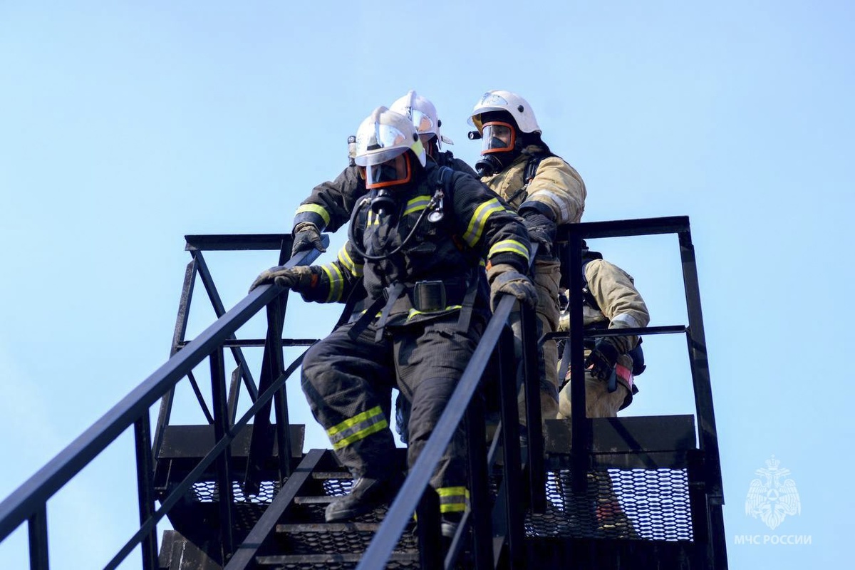     Фото: МЧС по Свердловской области