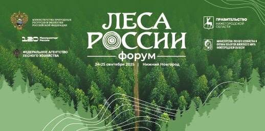    В Нижнем Новгороде пройдет Всероссийский форум «Леса России»