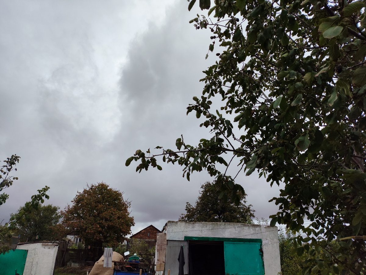 Черное небо