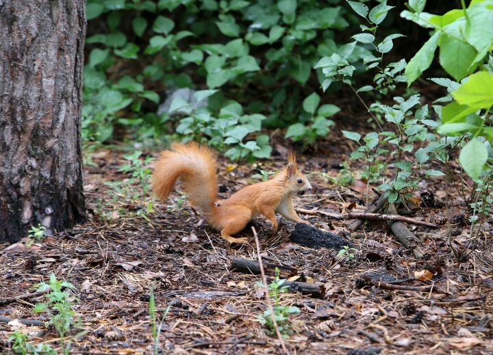    Фото: Игорь Филонов