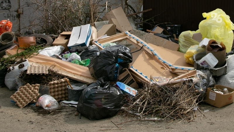      Фото: Валерия Алтухова / / ИА «Победа26»