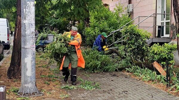    © Telegram Михаил Развожаев