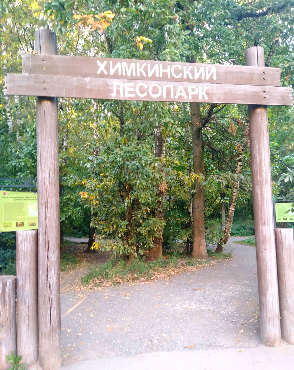 🎞️🌳⬆️ Вход в южную, ховринскую часть Химкинского лесопарка, со стороны ул. Дыбенко ... Авторские фото Михаила Соловьёва от сентября 2025 года  🎞️🌳⬆️⬇️