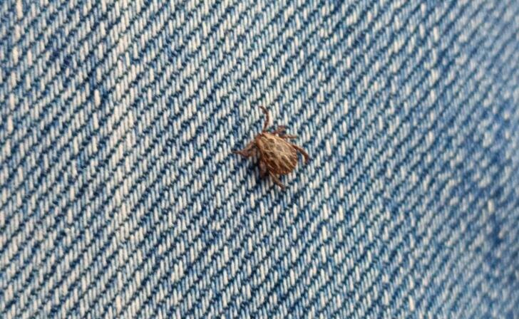    фото Курские известия