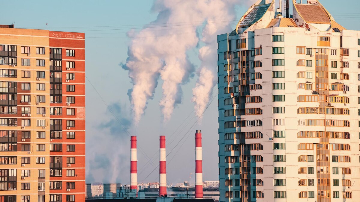    Фото: Roman Naumov/globallookpress.com