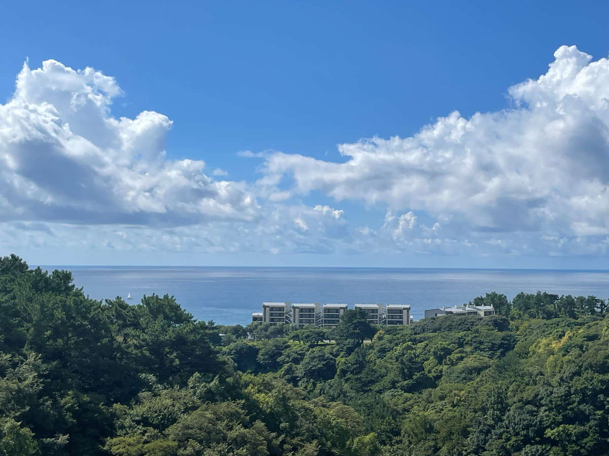 Вид с моста парка Ходжеен