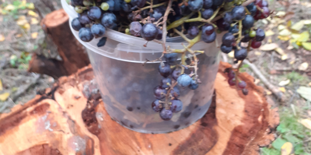 Почему препараты не всегда срабатывают