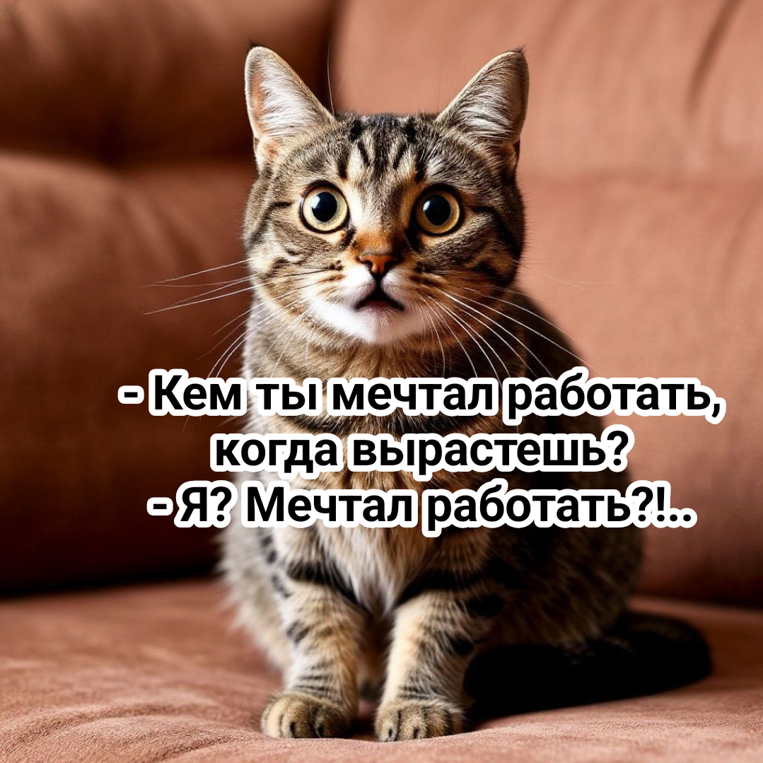 рисунок автора