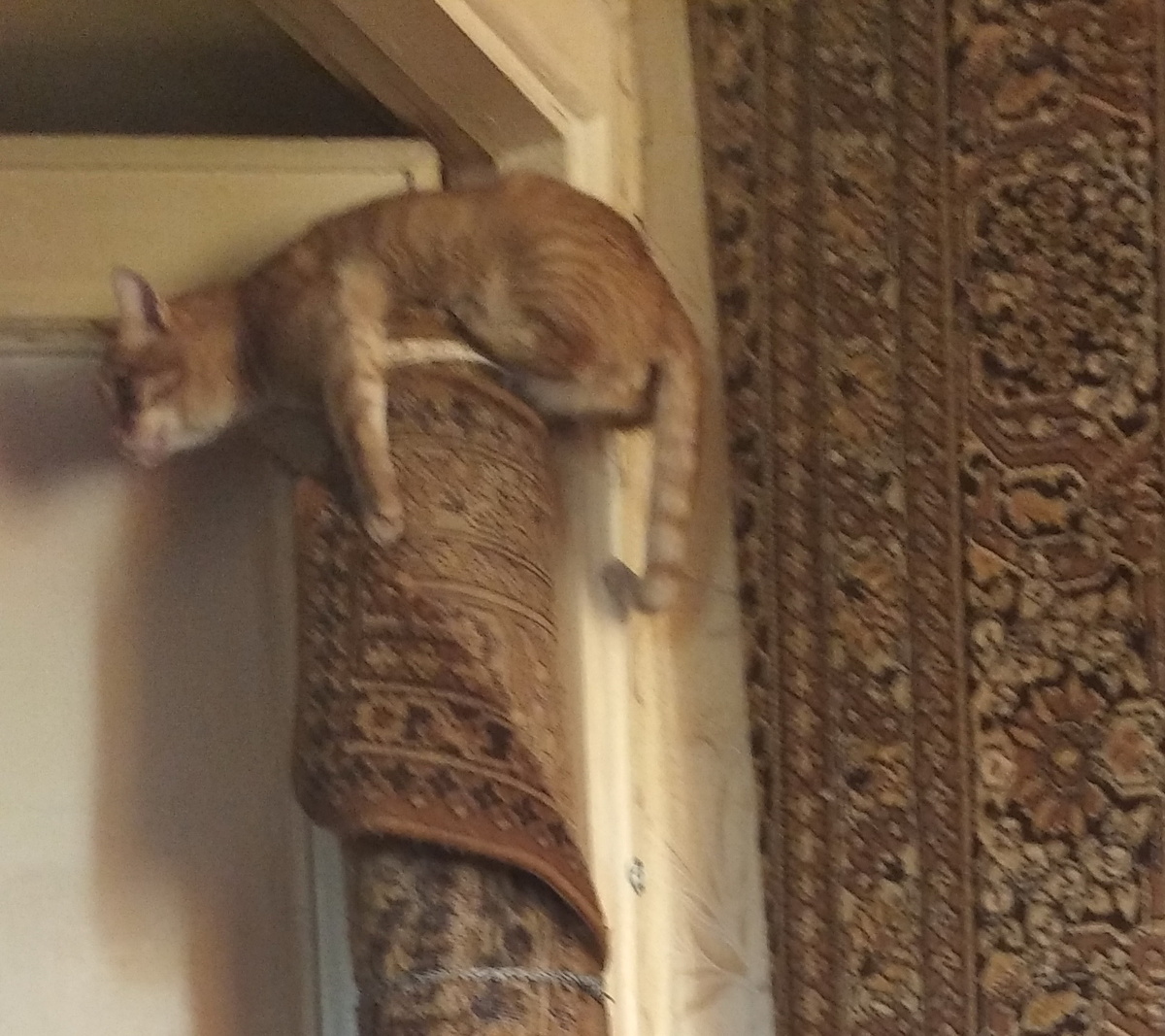 Личное  фото