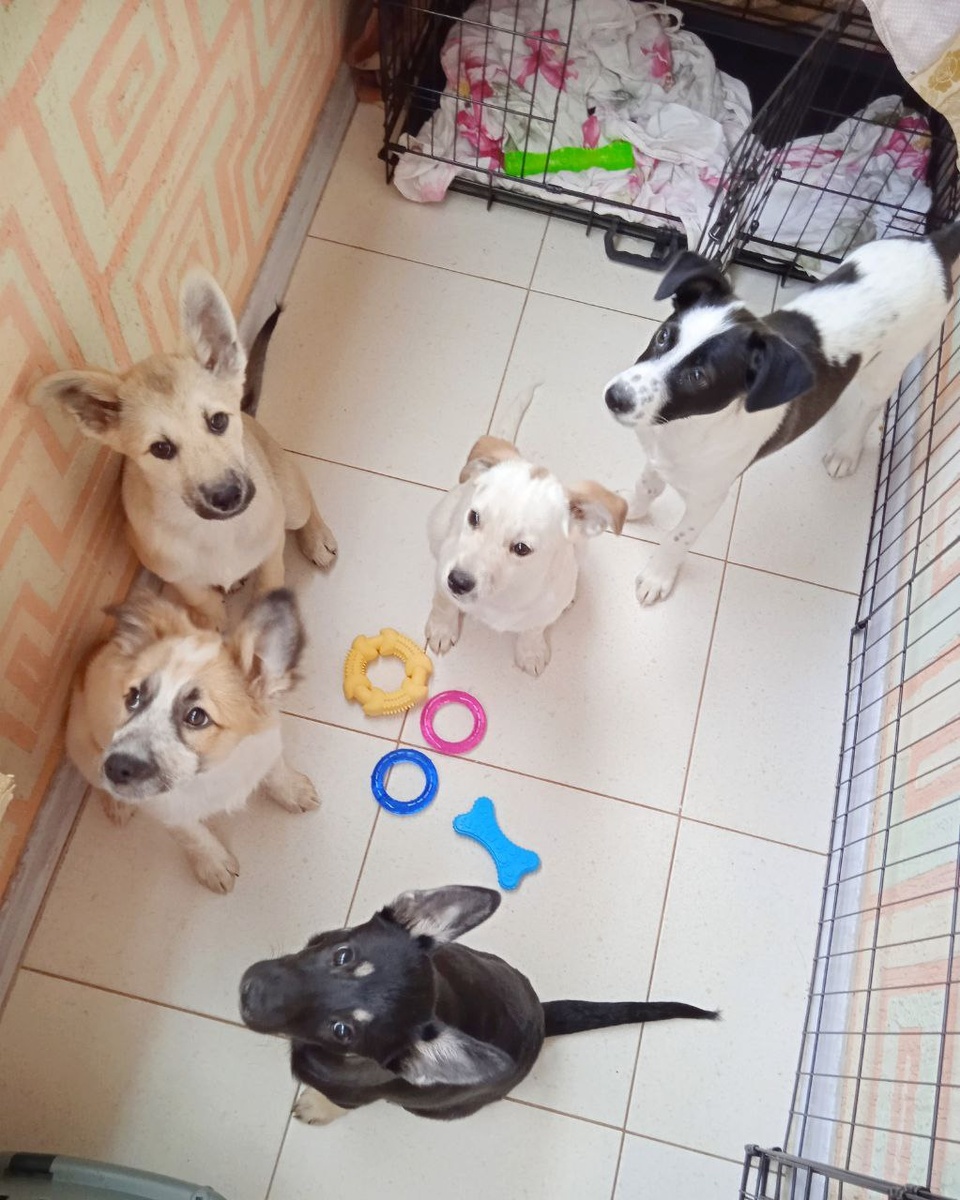 И снова здравствуйте!