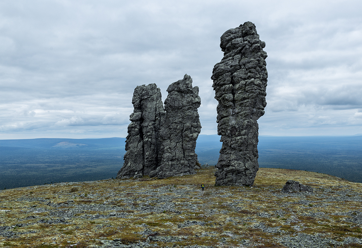 Фото из Викимедиа Коммонс. Автор - Aleksandr Chazov.